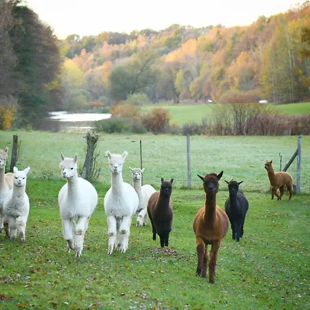 Appartement Alpakas Im Chemnitztal Taura