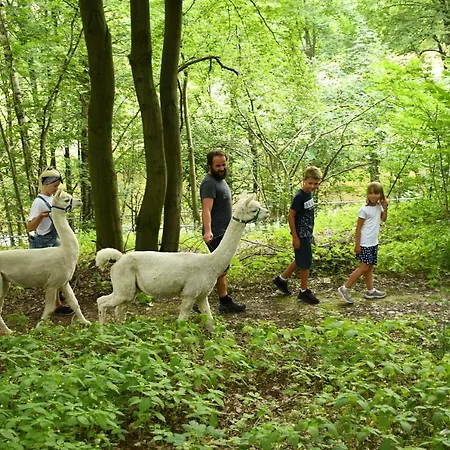 Alpakas Im Chemnitztal Appartamento