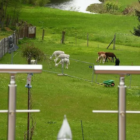 Alpakas Im Chemnitztal Appartement