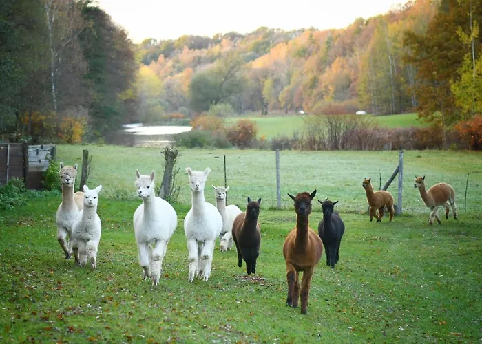 公寓 Alpakas Im Chemnitztal Taura