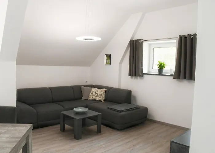 Alpakas Im Chemnitztal 公寓