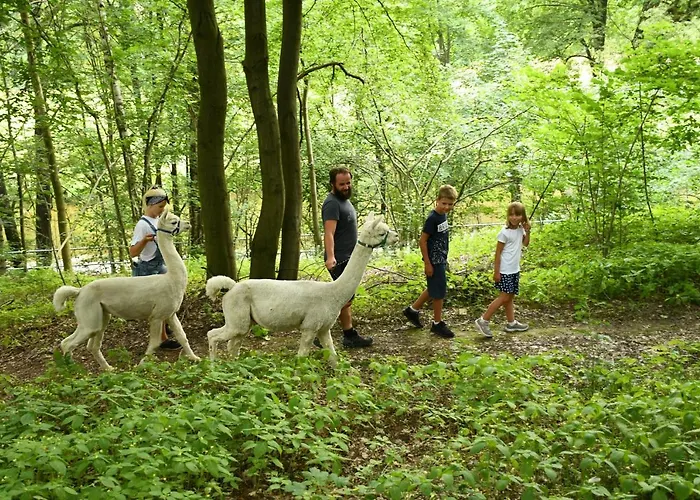 Alpakas Im Chemnitztal 公寓