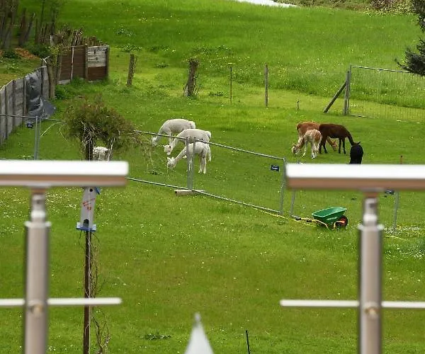 Alpakas Im Chemnitztal 公寓